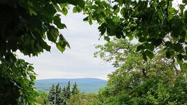 Bajna