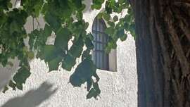 Bajna