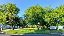 Bajna