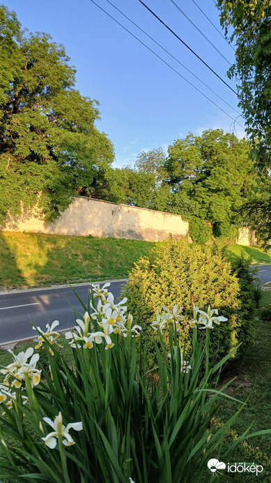 Bajna