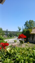 Bajna