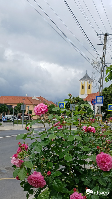 Bajna
