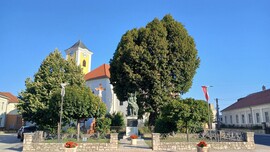 Bajna