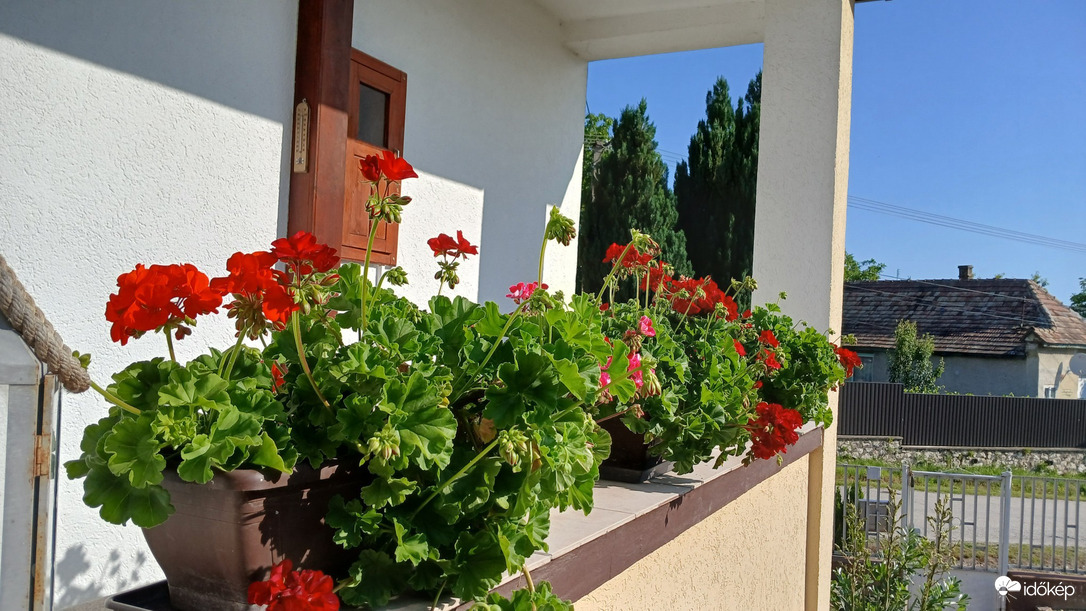 Bajna