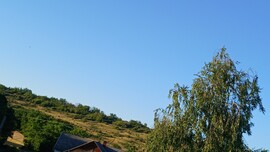Bajna