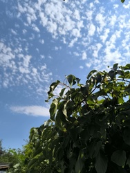 Kereki