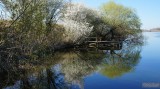 Holt-Tisza ( Fehérpart-Szilvás ) Szeged