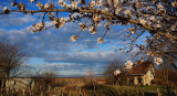 Tavasz a Balatonnál