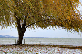 Hullott a hó, fúj a szél