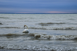 Balatongyörök