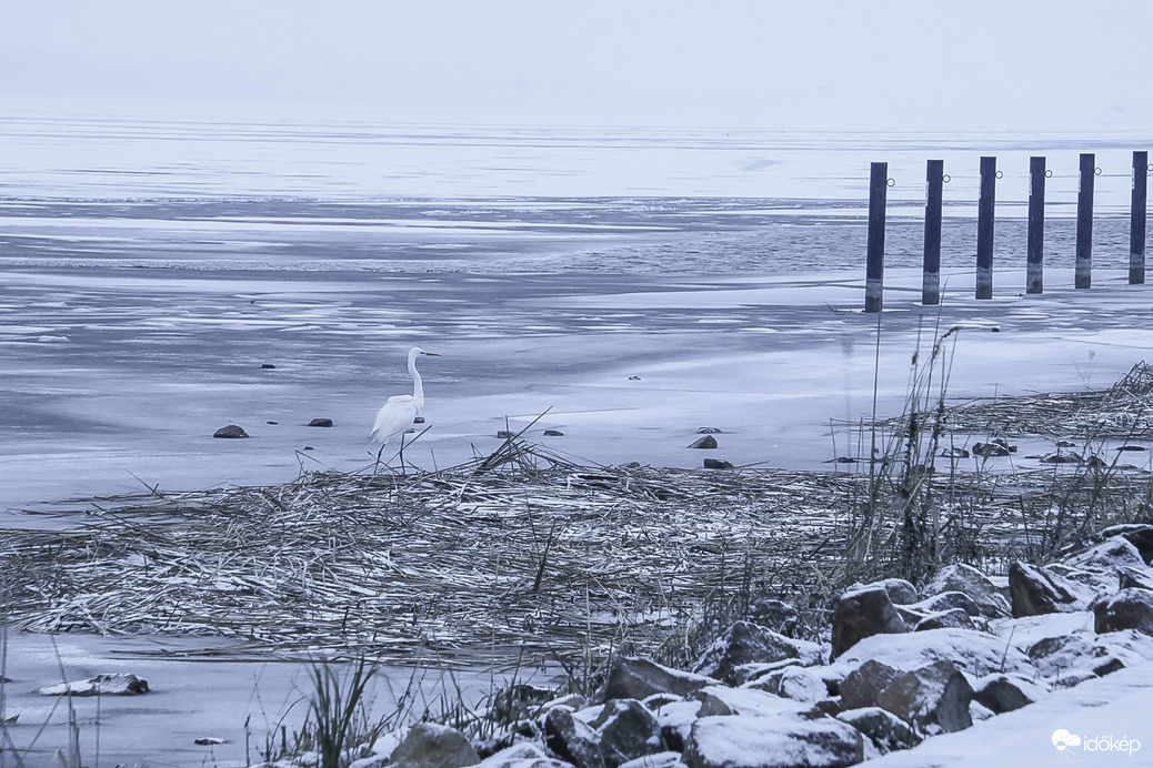Fehérben a fehéren 