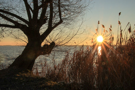 A Balaton esti kacsintása