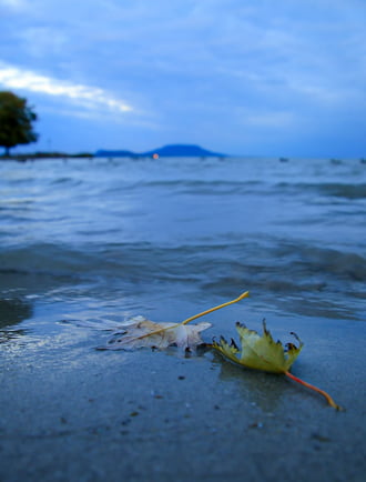 Balatongyörök