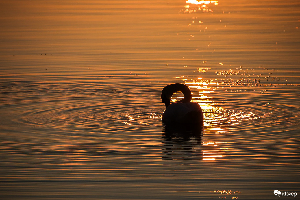 Az ősz aranya ölelésében 