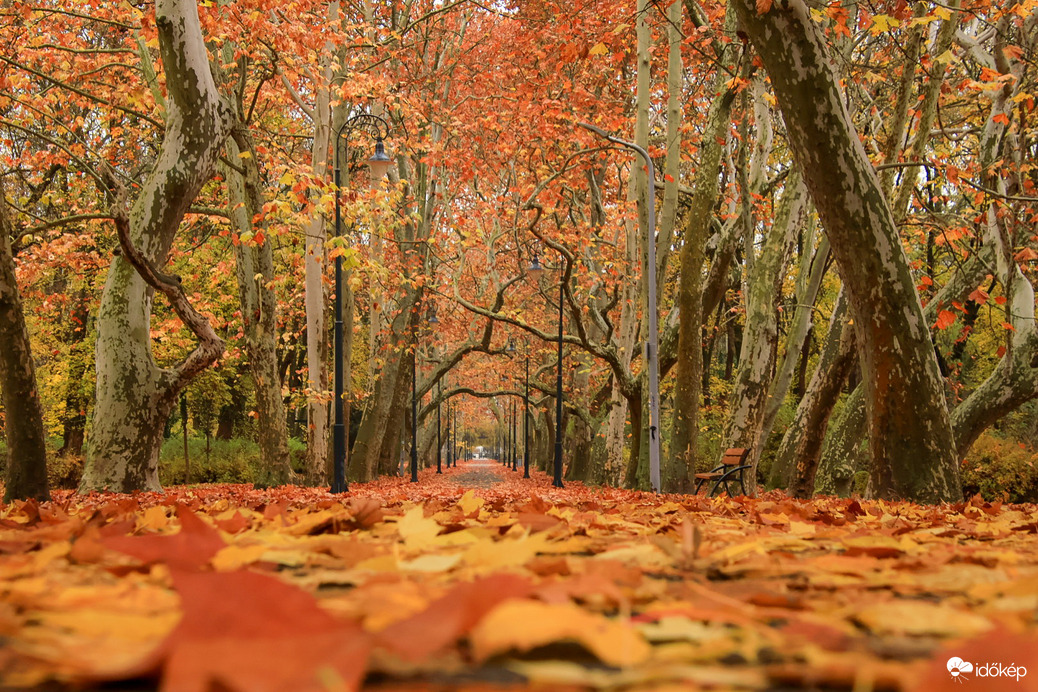 Szeretek elveszni ebben a látványban 