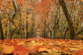 Szeretek elveszni ebben a látványban 