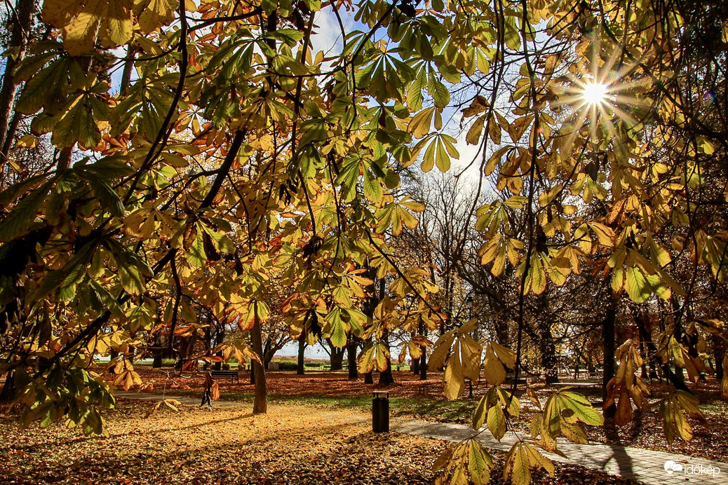2 eső közötti bekacsintó