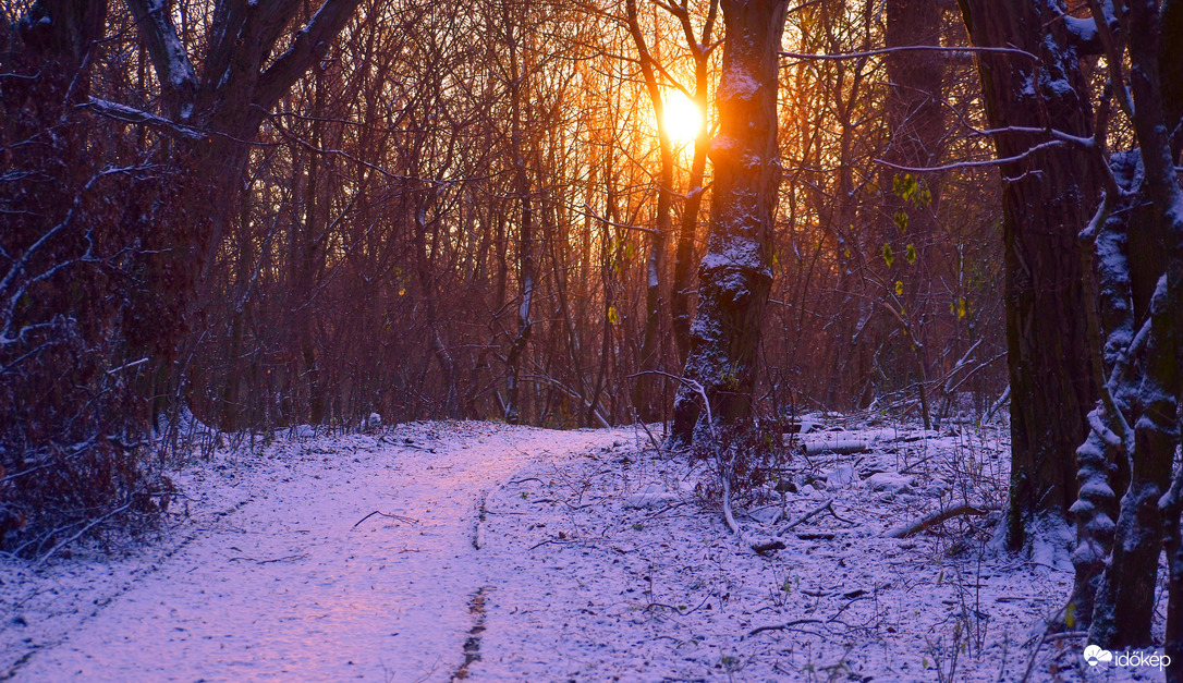 Téli reggel
