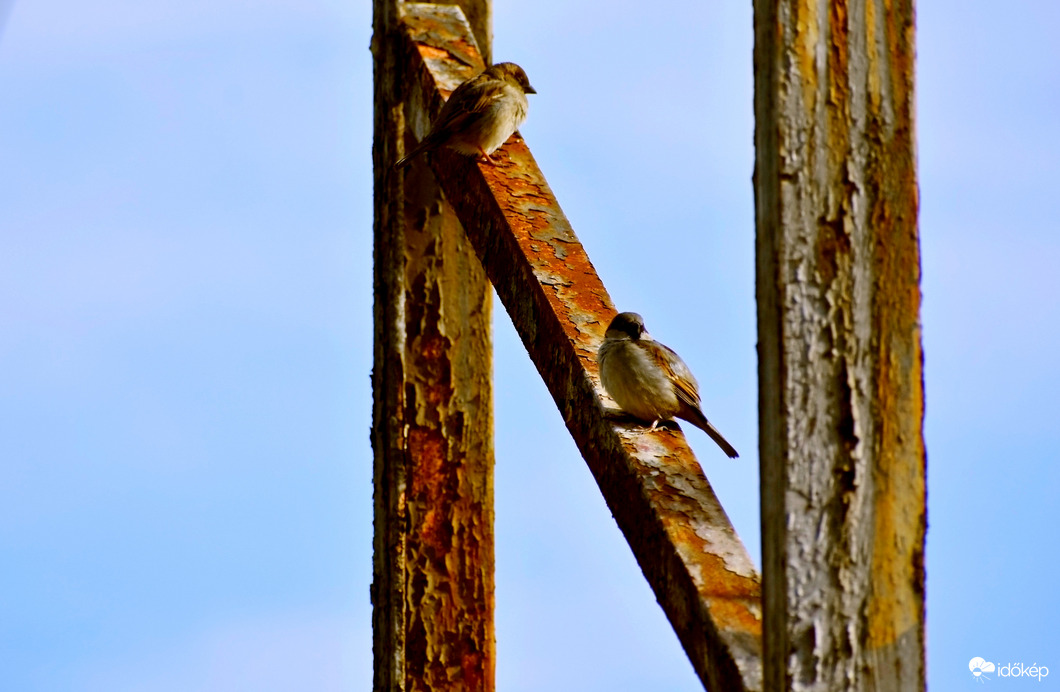 Pihenő a végtelenben