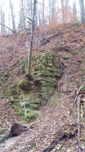 Rám-szakadék