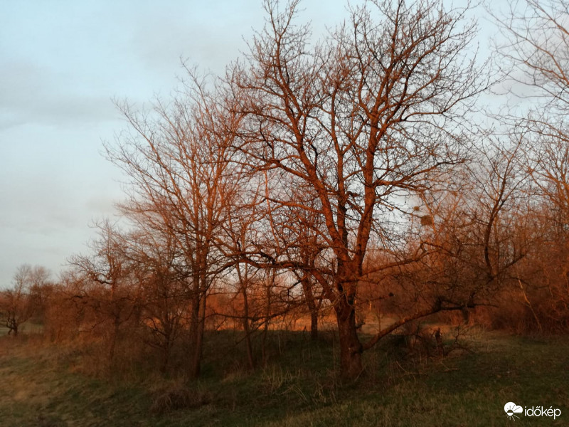 A lenyugvó nap festette