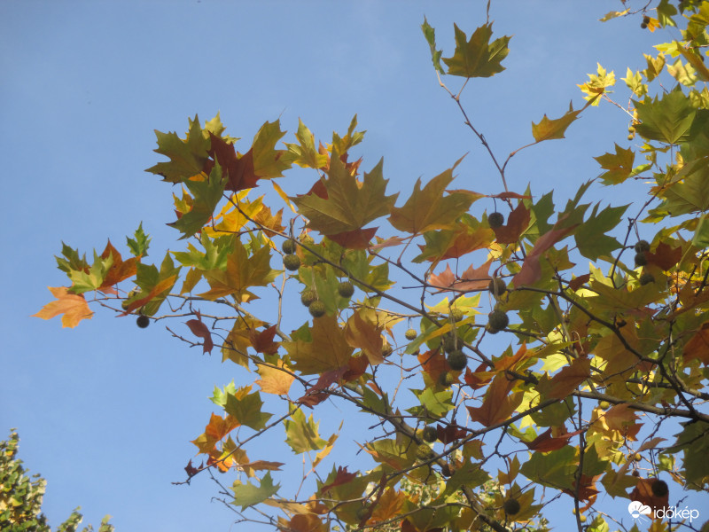 Már kopogtat az ősz