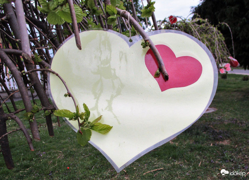 Köszönet azoknak, akik értünk dolgoznak