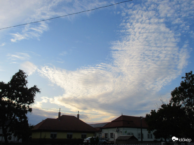 Sorakoztak a bárányok