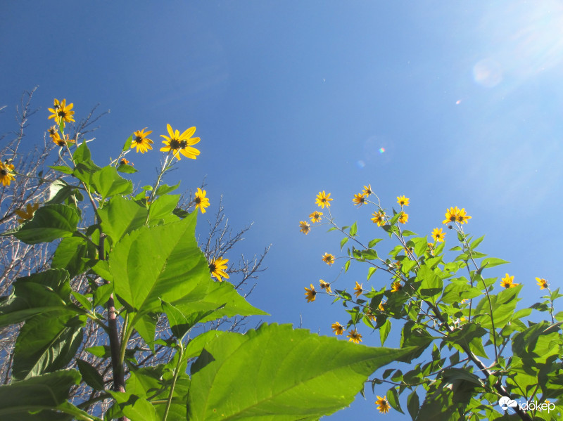 Egyetlen felhő sincs felettünk