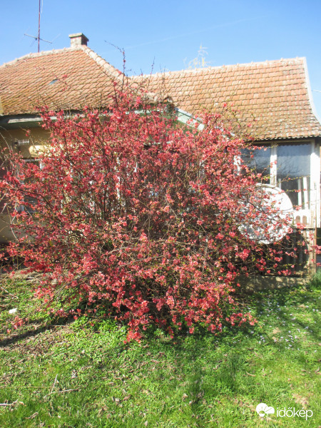 Barátihegyen van ez a hatalmas 