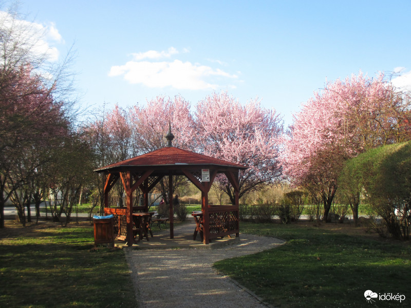 Somogyjádon a parkban