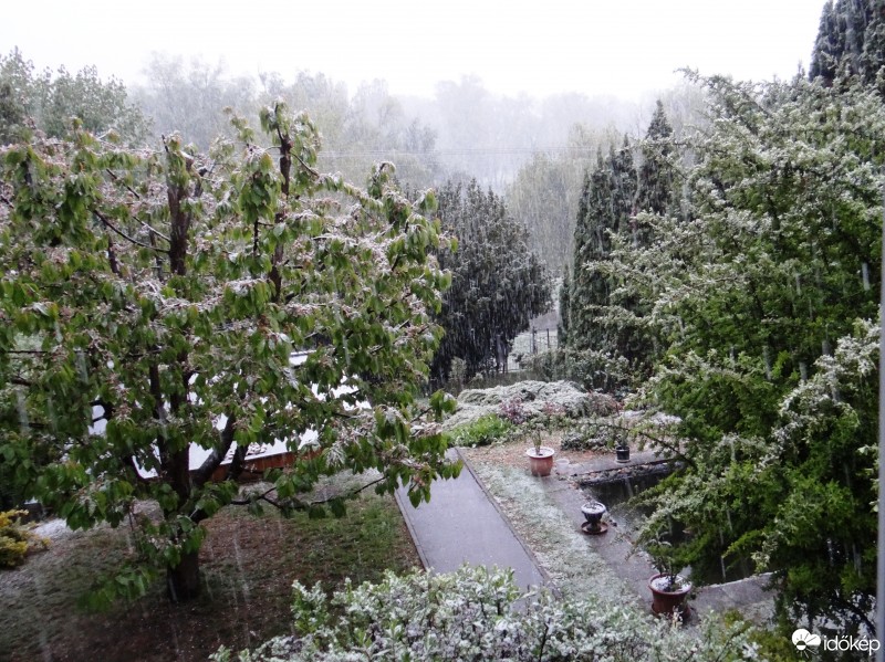 Észlelési fényképek