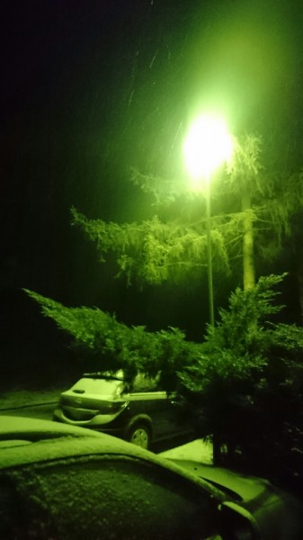 Észlelési fényképek