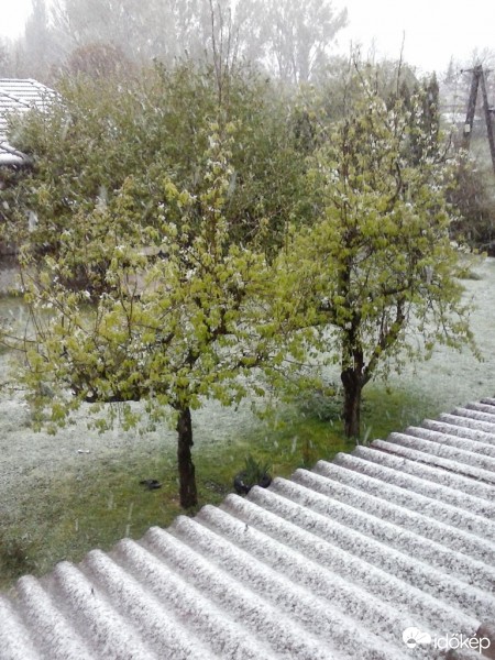 Észlelési fényképek