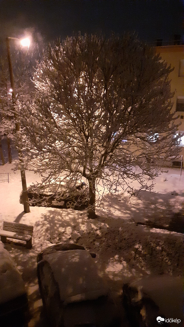 Észlelési fényképek