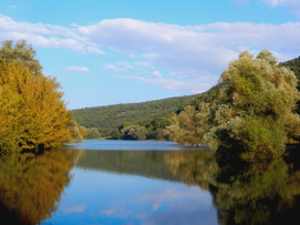 malnaskerti fotója