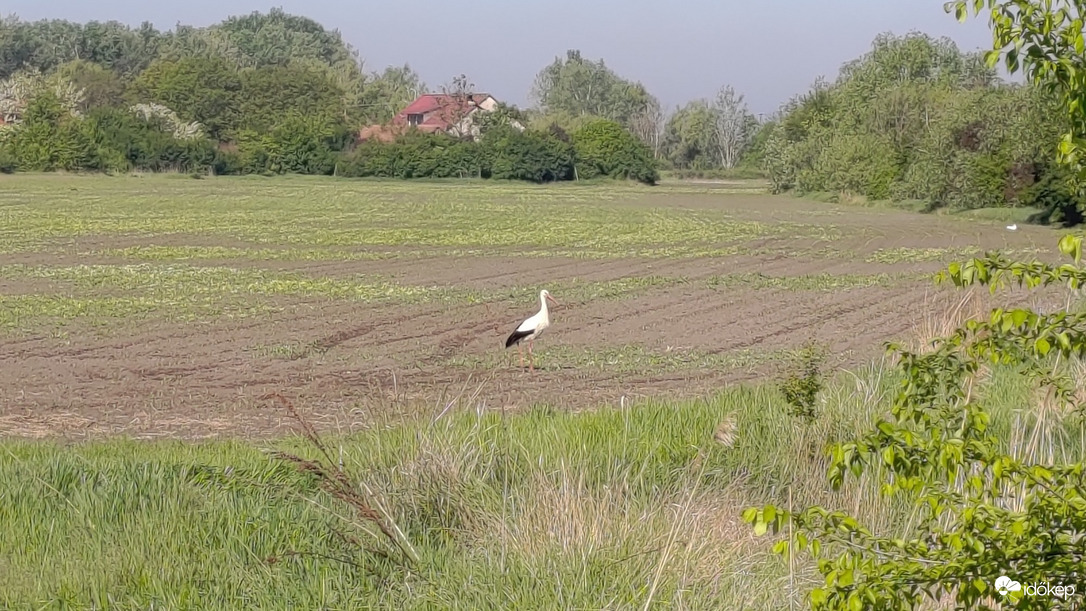 Balmazújváros