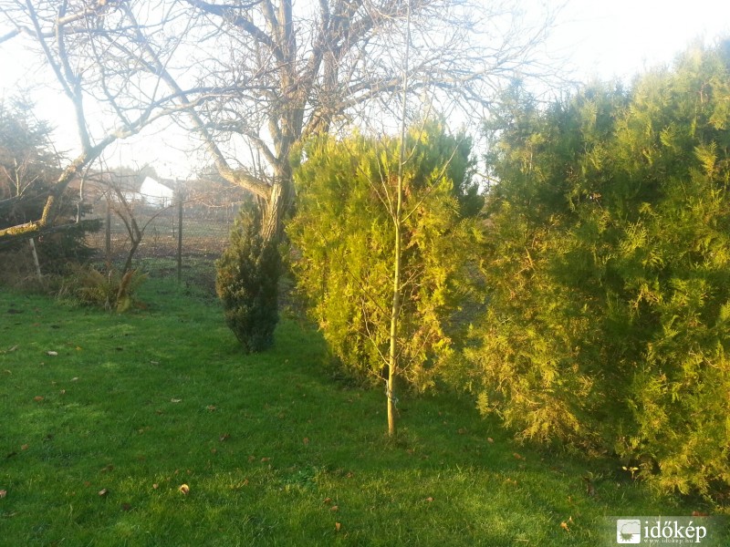 Észlelési fényképek