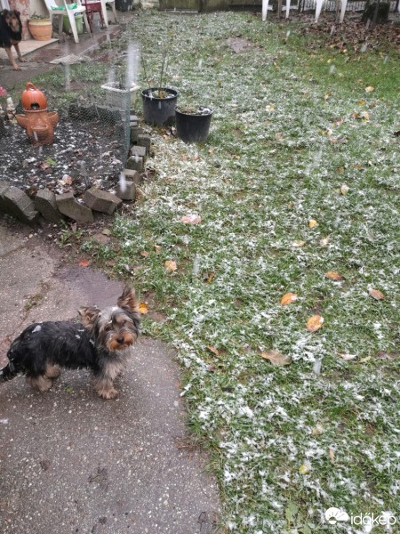 Észlelési fényképek