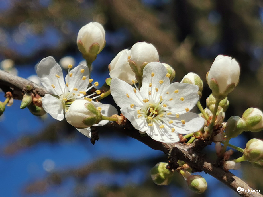 Nálunk is beindul a tavasz... :)