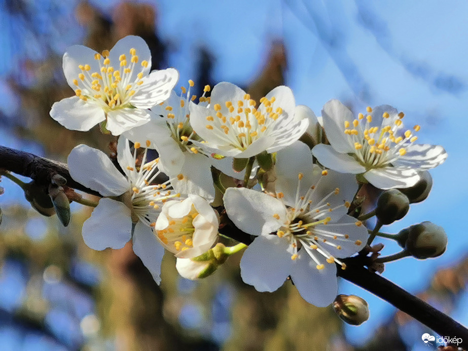 Amiért szeretem a tavaszt... :)