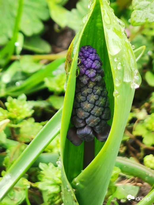 Eső elől biztonságban... :)