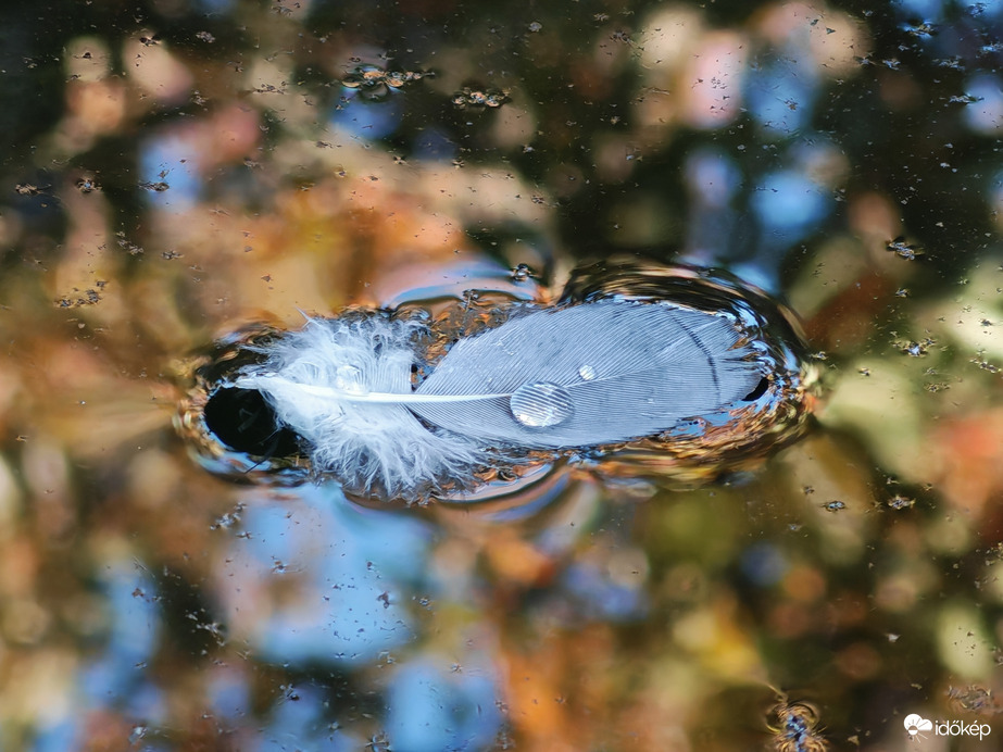 Őszi színes vízreszállás... 