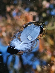 Őszi színes vízreszállás... 