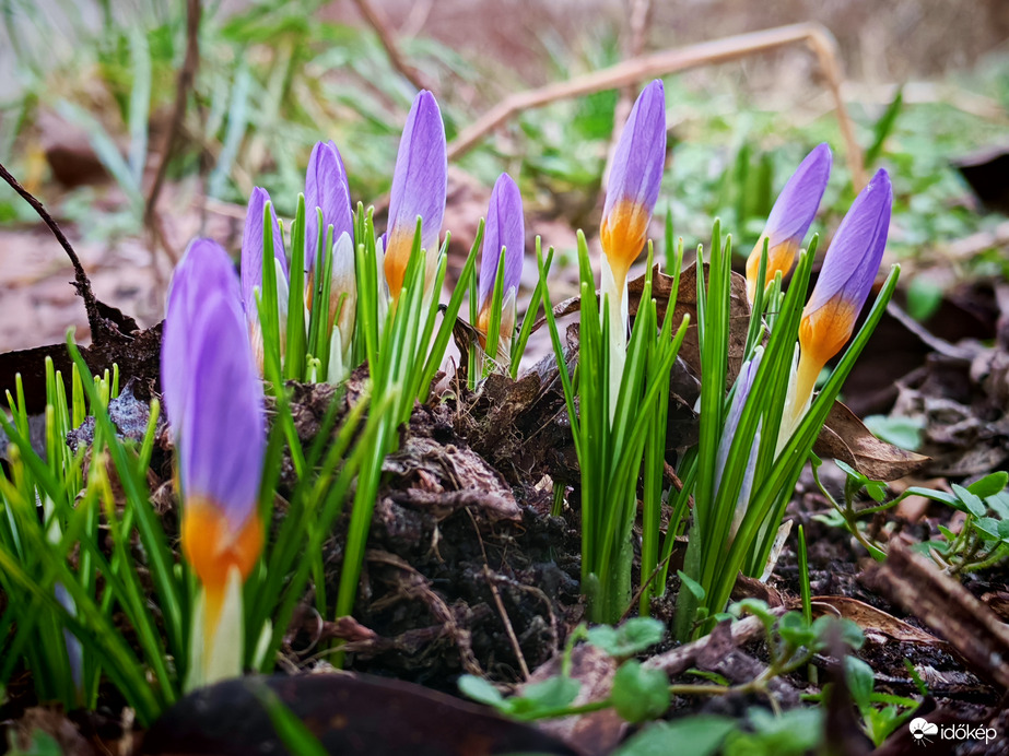 Ők is megérezték a jó időt... 