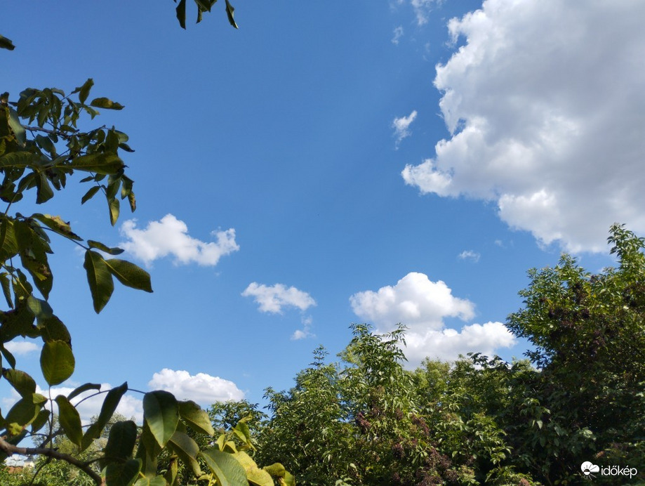 Észlelési fényképek