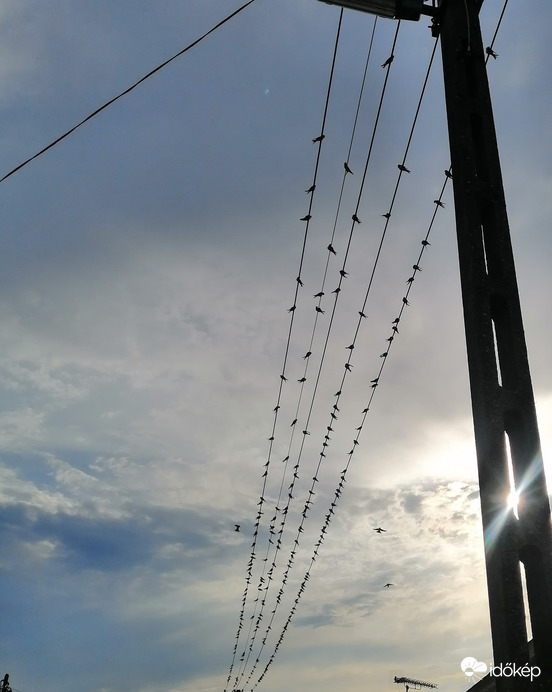 Észlelési fényképek