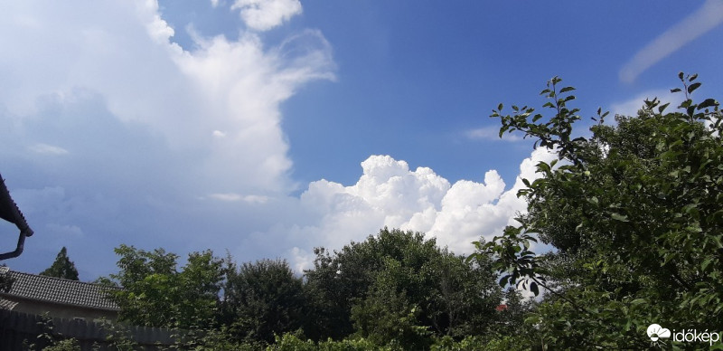 Észlelési fényképek