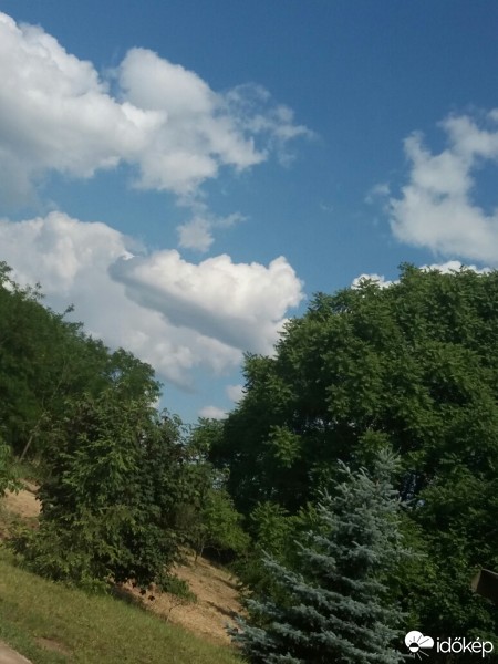 Észlelési fényképek