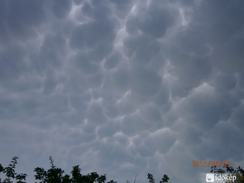 Észlelési fényképek